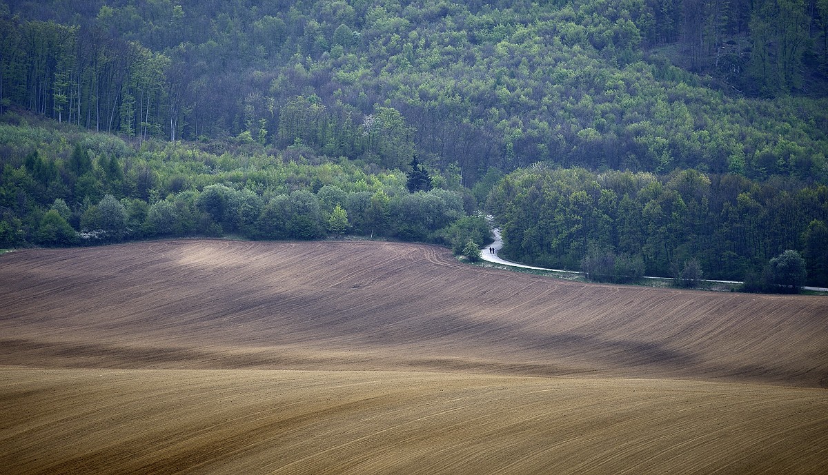 Soblahov