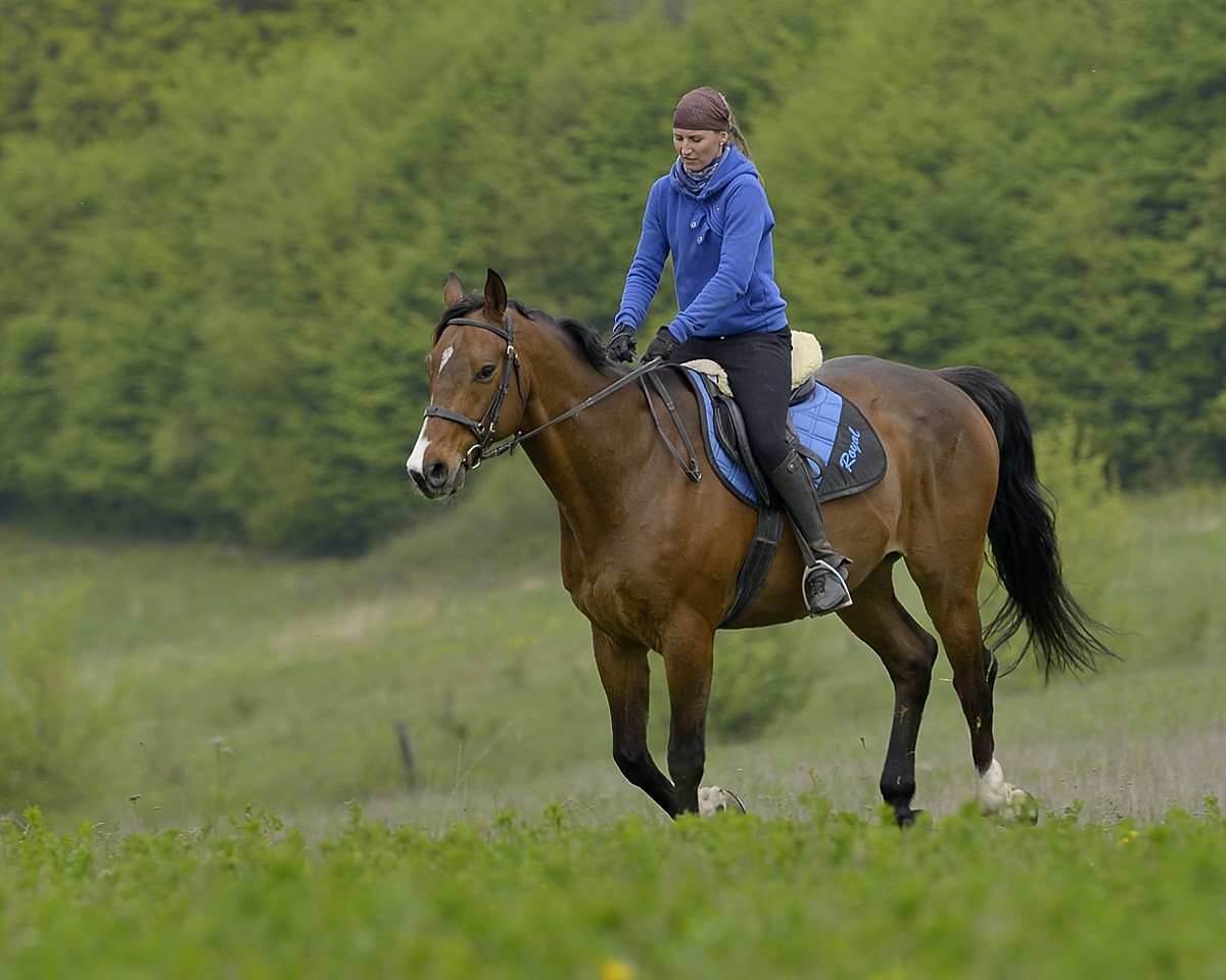 Royal a Zuzka