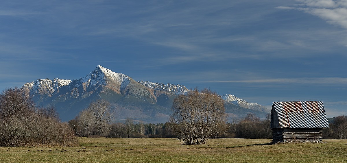 Kriváň