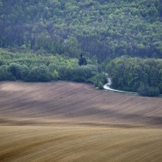 Soblahov