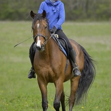 Zuzka a Royal